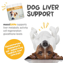 maxxipaws maxxiSAMe scoop dispensing to mix with meals.