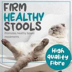 Maxxiscoot illustration emphasizes digestive balance and stool support.
