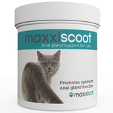 Maxxiscoot powder tub closeup highlighting natural ingredients for gut health support.