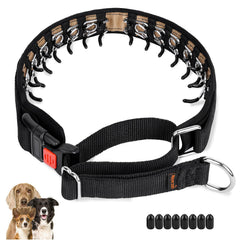 Mayerzon hidden design dog collar close-up shows durable stainless steel links for reliable no-pull training