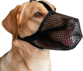 Mayerzon soft-mesh panel muzzle for comfortable wear and breathing