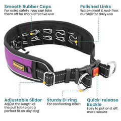Mayerzon martingale collar with adjustable buckle safely fits a medium to large dog.
