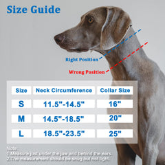 Mayerzon martingale collar blue quick-release buckle shown for easy on/off