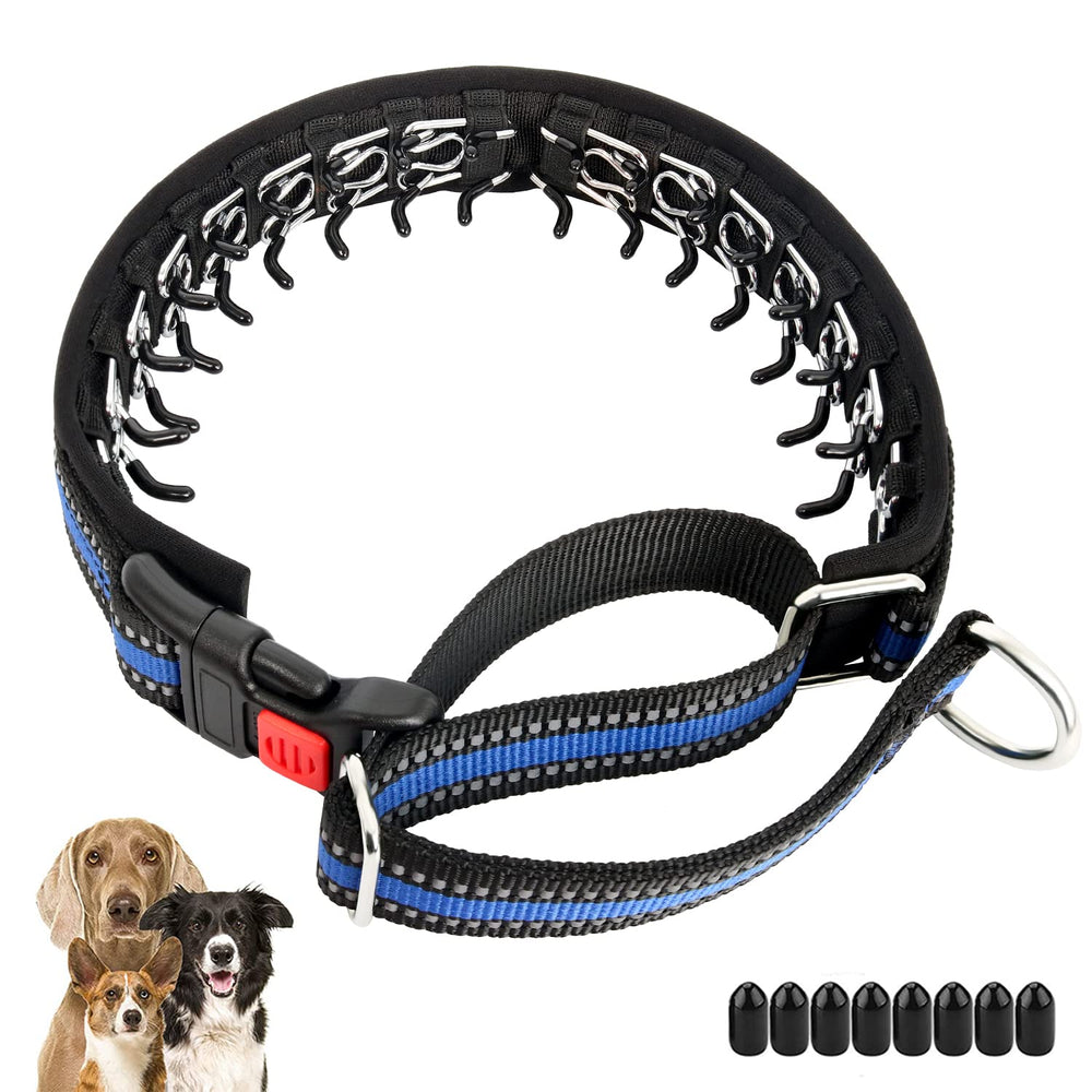 Mayerzon martingale collar in blue with hidden link design for a cleaner look