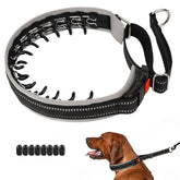 Mayerzon martingale collar front view with reflective stitching for safe daytime and night walks.