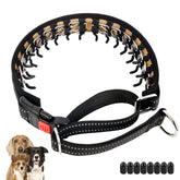 Mayerzon Martingale collar no-pull training supports safer, controlled walks.