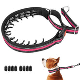 Mayerzon martingale collar side view with adjustable fit for comfortable walks.