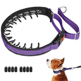 Mayerzon Martingale no pull collar with adjustable slider for a secure, comfortable fit.