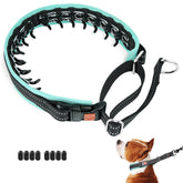Mayerzon Martingale no-pull collar buckle keeps walks calm and controlled.