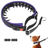 Mayerzon martingale no pull collar front view showing discreet design for daily walks