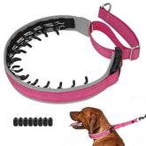 Mayerzon martingale no-pull collar front view with reflective stitching for safer evening walks