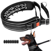 Mayerzon Martingale no pull collar front view showing discreet design for daily walks.