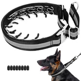 Mayerzon Martingale no pull collar front view shows sturdy control for large dogs.