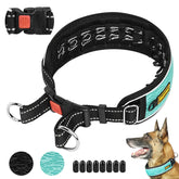 Mayerzon martingale no-pull collar front view shows discreet training design.