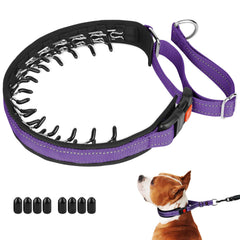 Mayerzon Martingale No Pull Collar with hidden link design for discreet training during walks.