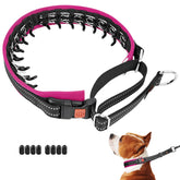 Mayerzon Martingale no-pull collar with neoprene padding for comfortable daily walks