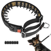 Mayerzon martingale no-pull collar on dog during walk promotes calmer, controlled strolling.
