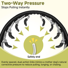 Mayerzon no-pull collar with reflective strip enhances visibility at dawn or dusk.