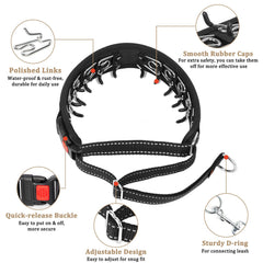 Mayerzon Martingale no pull collar side profile highlighting reflective safety features.