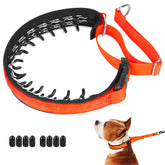 Mayerzon Martingale No Pull Collar Sunset Orange close-up shows durable padding for comfortable daily walks.