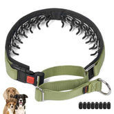 Mayerzon no-pull collar close-up buckle detail for secure daily walks