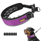Mayerzon patented no pull collar on a dog during a walk, promoting calmer pulling.