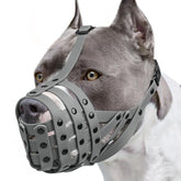 Mayerzon Pitbull Muzzle basket on a dog for safe social interaction