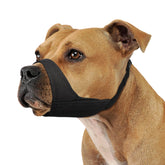 Mayerzon Pitbull Muzzle front view demonstrates secure fit for large dogs