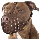 Mayerzon pitbull muzzle with overhead strap for secure fit.