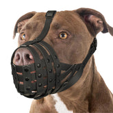 Mayerzon Pitbull Muzzle overview shows adjustable fit for large dogs during training