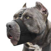 Mayerzon Pitbull Muzzle with soft strap secures during walks