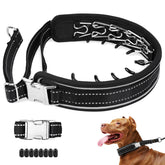 Mayerzon prong collar for large dogs with quick-release buckle for easy on-off during walks.