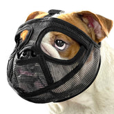 Mayerzon short snout muzzle with breathable mesh for comfortable outdoor wear