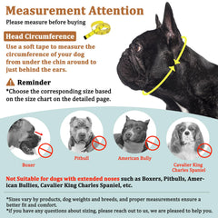 Mayerzon muzzle shows eyehole design preserving clear vision during walks