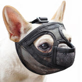 Mayerzon short snout muzzle in breathable mesh front view for comfortable outdoor wear.