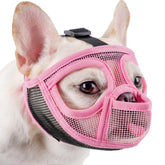 Mayerzon Short Snout Muzzle front view for brachycephalic breeds, safe outdoors.