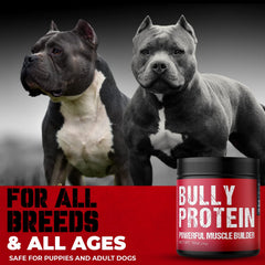 MBF Supplements Bully Protein Powder scoop sprinkled over dog food