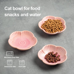 Mecaikru pink ceramic dish doubles as salad or fruit plate for pets.