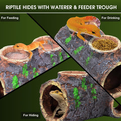 MECESOR tree trunk texture reptile hide blends with natural terrariums