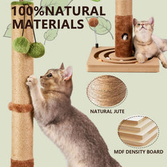 MECOOL ball track feature engages cats during relaxed or active play