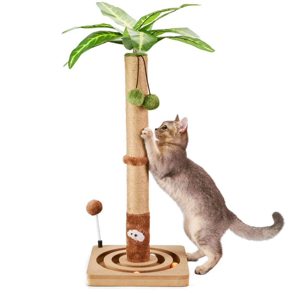 MECOOL cat scratching post base displaying stable support for indoor play and scratching