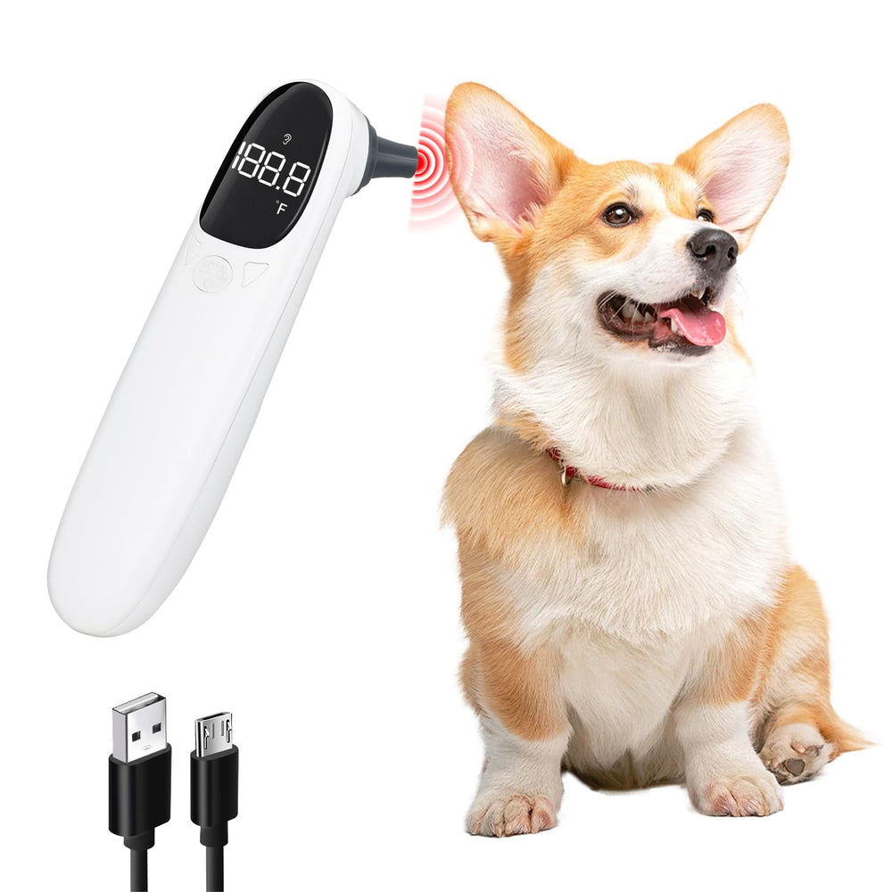 MEETI ear thermometer performing a quick non-contact measurement for accurate pet temperature checks.