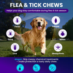 MEGPETS NUTRITION chicken-flavor dog treat demonstrates appetizing daily option.