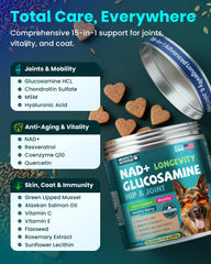 MEGPETS NUTRITION NAD+ soft chews in hand, portable daily dog wellness.
