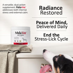 Mela-Vet Melatonin soft chews dog-snuggling scene illustrates calm companionship during travel
