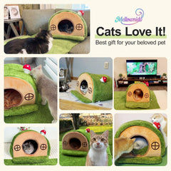 Mellownido Cat House mushroom bell toy adds playful stimulation inside the hideaway