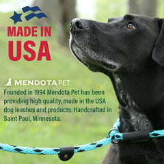 Mendota Pet Slip Leash Leather Slide shows adjustable security for control