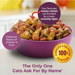 Basted Bites kibble close-up highlighting enhanced flavor notes for cats.