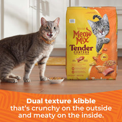 Meow Mix Tender Centers close-up of two-texture kibble with meaty center
