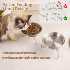 Meowgod raised bowls on an anti-slip base stay steady during meals.
